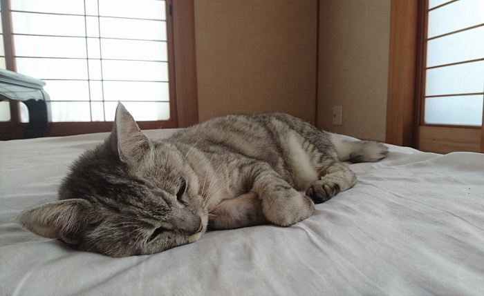 f:id:masami71:20190803125155j:plain