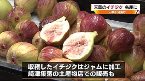 f:id:masami71:20190826140810j:plain f:id:masami71:20190826140810j:plain