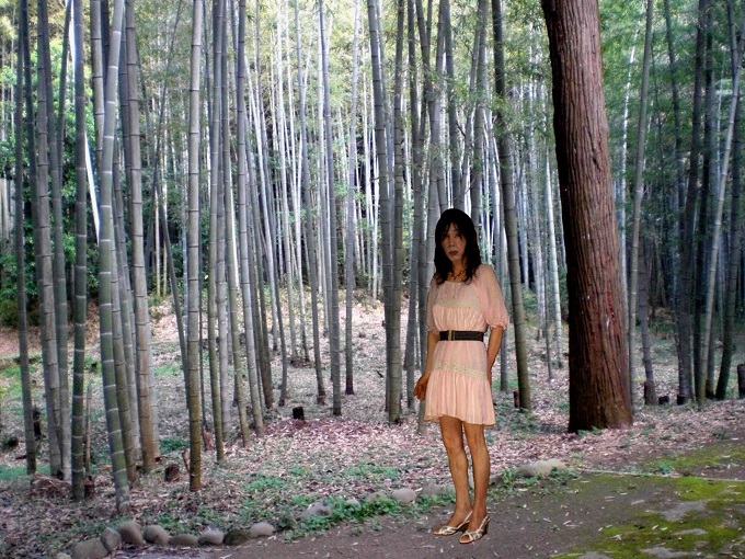 f:id:masami71:20190901184909j:plain f:id:masami71:20190901184909j:plain