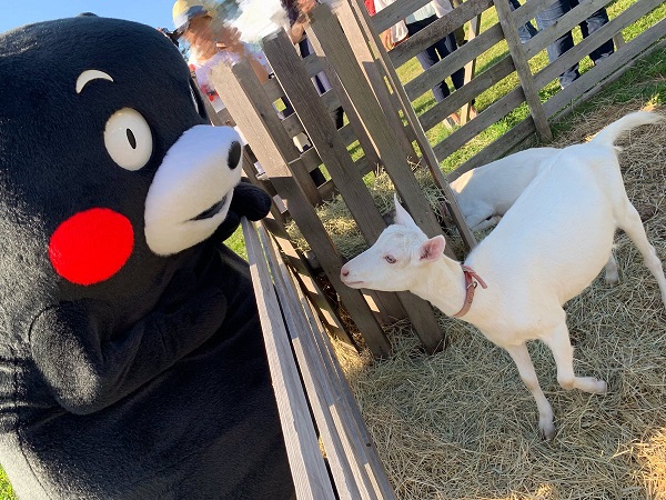 f:id:masami71:20190908210813j:plain