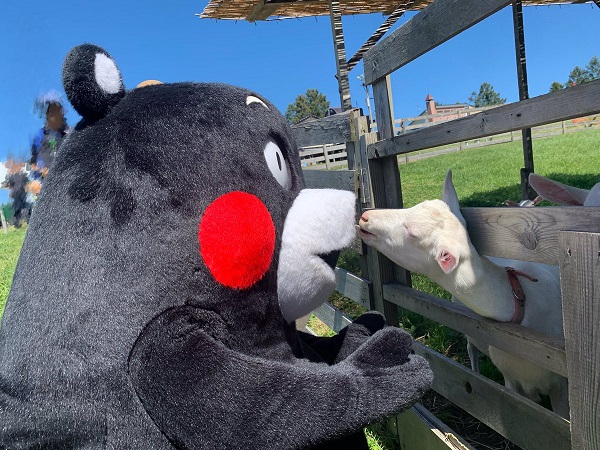 f:id:masami71:20190908210820j:plain
