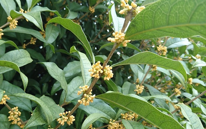 f:id:masami71:20191024123318j:plain f:id:masami71:20191024123318j:plain