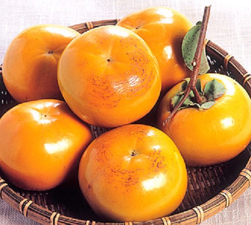 f:id:masami71:20191025124950j:plain f:id:masami71:20191025124950j:plain