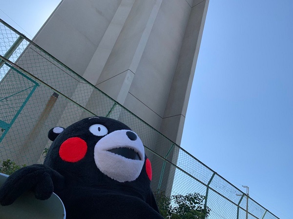 f:id:masami71:20191110211844j:plain f:id:masami71:20191110211844j:plain