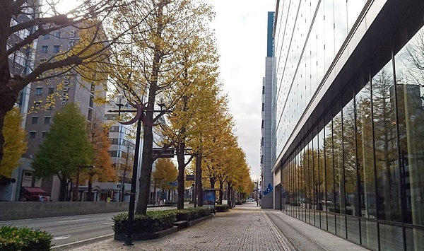 f:id:masami71:20191213142542j:plain f:id:masami71:20191213142542j:plain