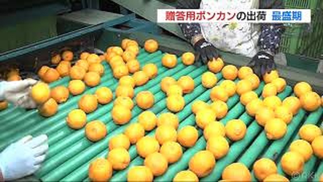 f:id:masami71:20191218124248j:plain f:id:masami71:20191218124248j:plain