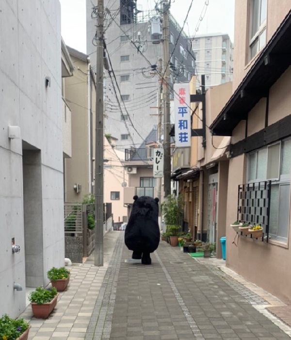 f:id:masami71:20200119214037j:plain