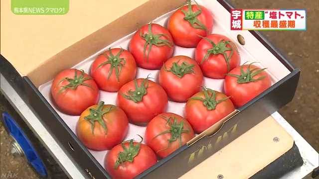 f:id:masami71:20200216145435j:plain f:id:masami71:20200216145435j:plain