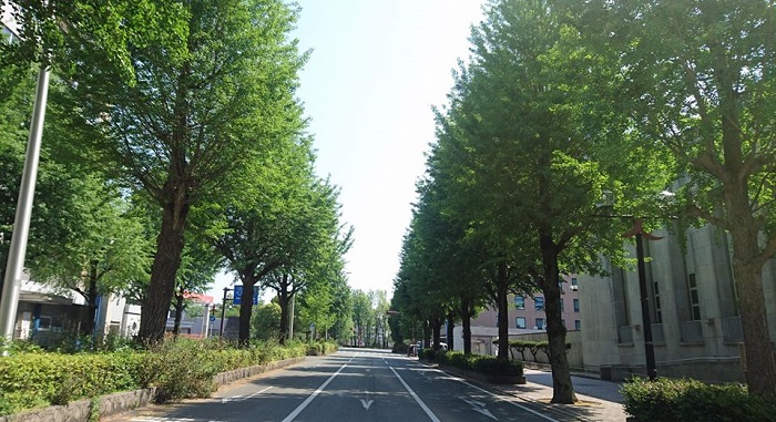 f:id:masami71:20200429135435j:plain