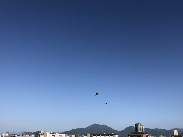 f:id:masami71:20200520134528j:plain