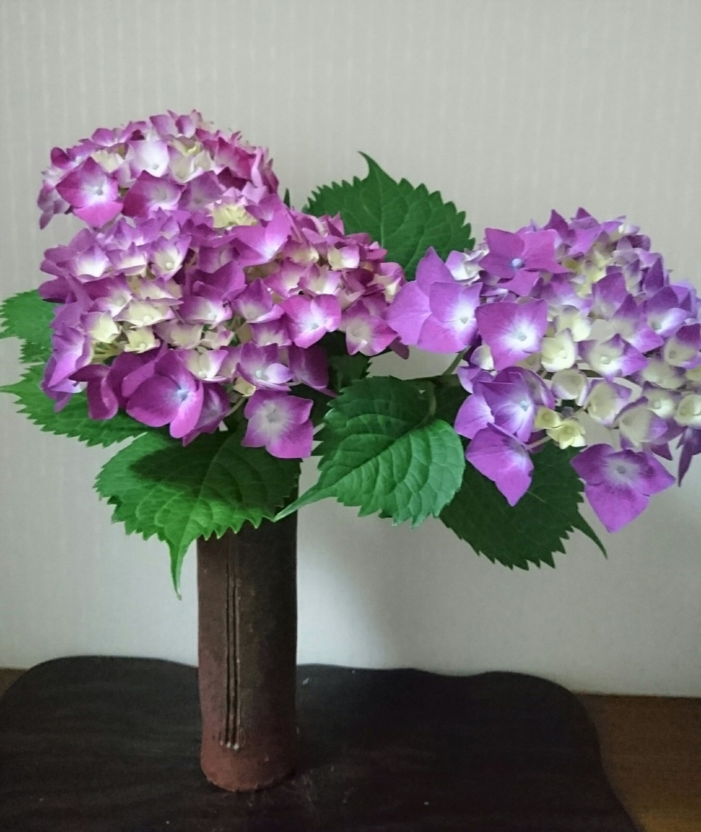 f:id:masami71:20200601110854j:plain