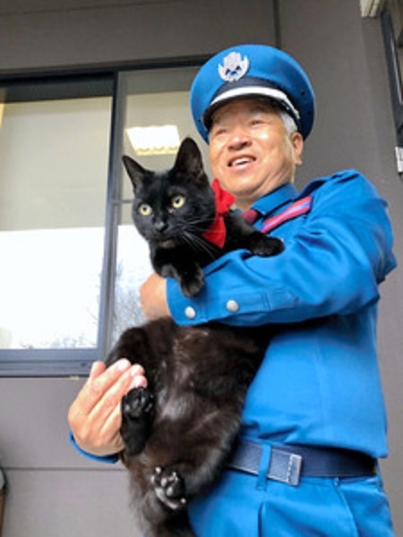 猫と警備員 2カ月ぶりに再会 Masami71の日記