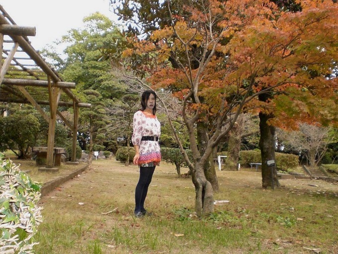 f:id:masami71:20200606164930j:plain f:id:masami71:20200606164930j:plain