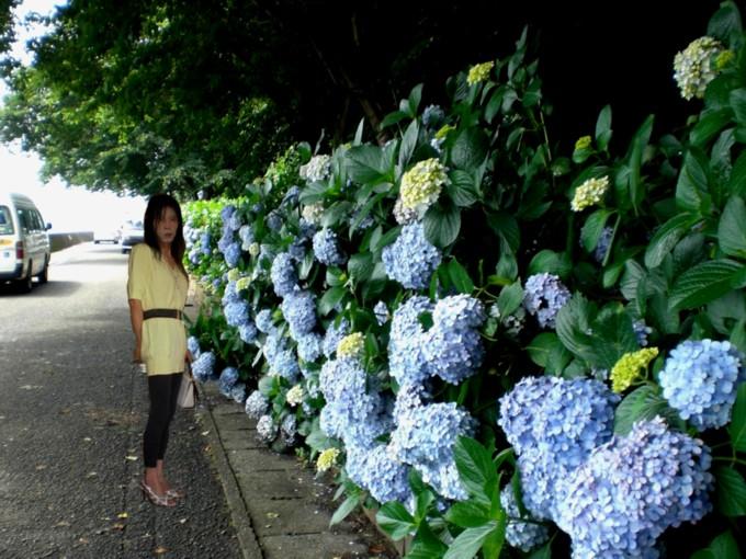 f:id:masami71:20200608133836j:plain f:id:masami71:20200608133836j:plain