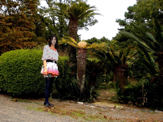 f:id:masami71:20200608134126j:plain f:id:masami71:20200608134126j:plain