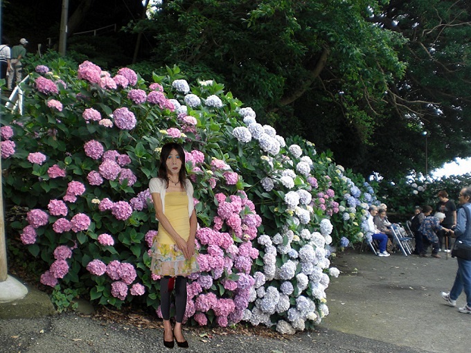 f:id:masami71:20200612163301j:plain