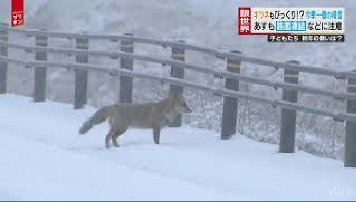 f:id:masami71:20200617103948j:plain