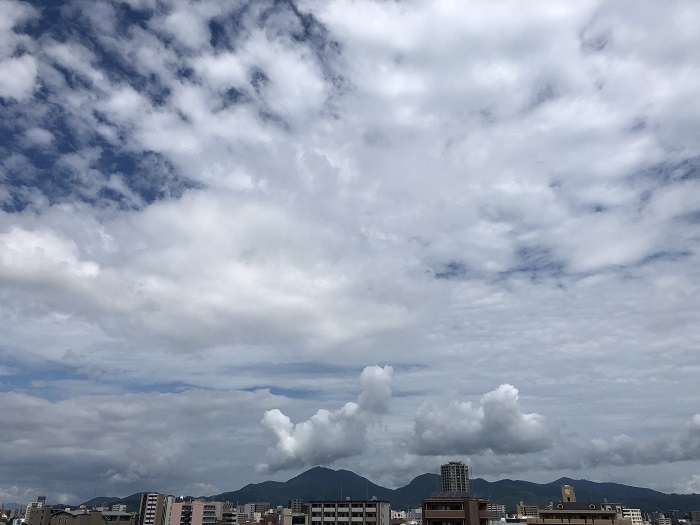 f:id:masami71:20200617152256j:plain f:id:masami71:20200617152256j:plain