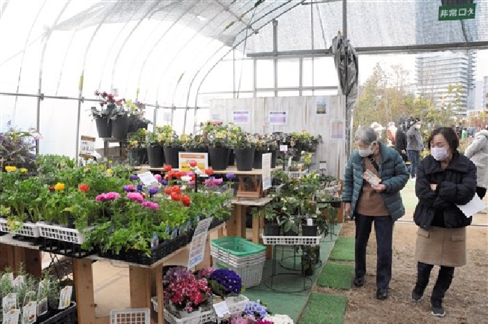 f:id:masami71:20200617152330j:plain