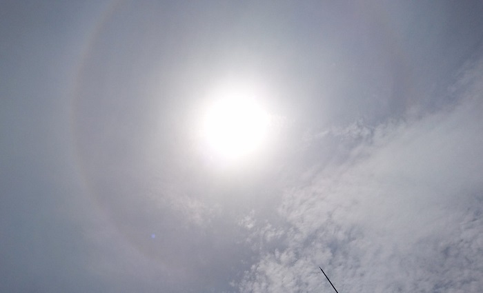 f:id:masami71:20200703155540j:plain f:id:masami71:20200703155540j:plain