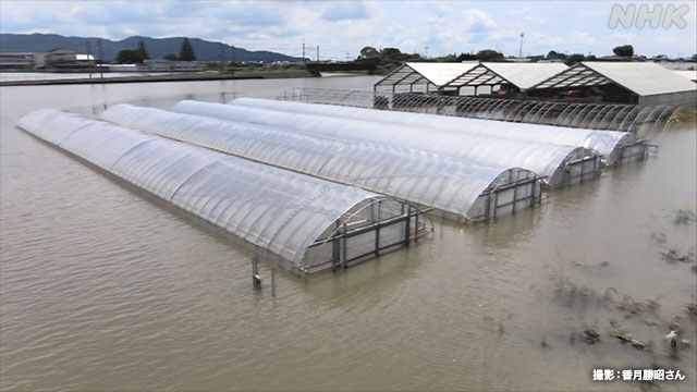 f:id:masami71:20200720210847j:plain