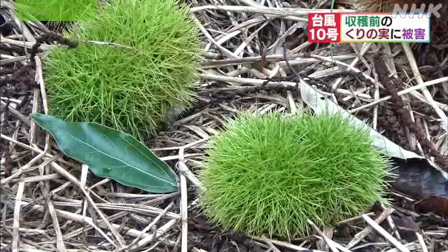 f:id:masami71:20200910161353j:plain f:id:masami71:20200910161353j:plain