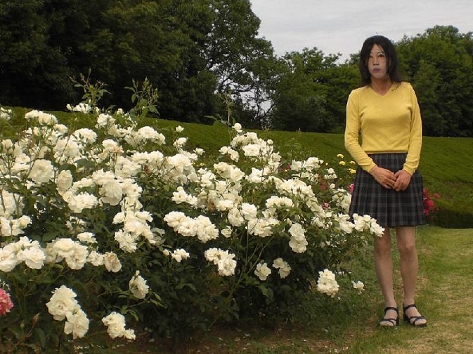 f:id:masami71:20201024173129j:plain f:id:masami71:20201024173129j:plain