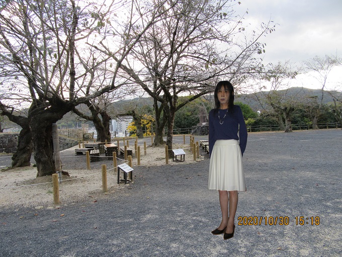 f:id:masami71:20201030151855j:plain