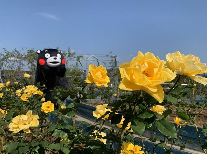 f:id:masami71:20201104141059j:plain