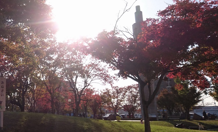 f:id:masami71:20201108151527j:plain f:id:masami71:20201108151527j:plain