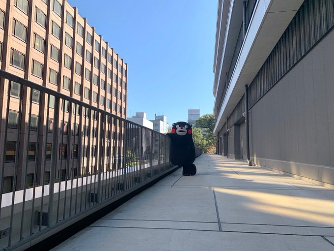 f:id:masami71:20201110152910j:plain f:id:masami71:20201110152910j:plain