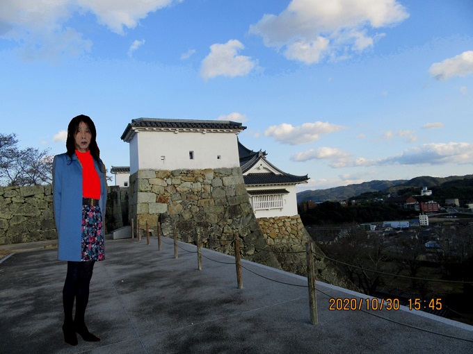 f:id:masami71:20201111141001j:plain