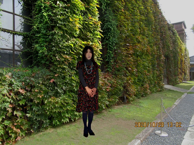 f:id:masami71:20201122151047j:plain