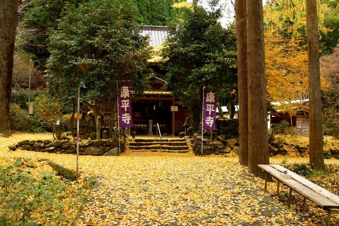 f:id:masami71:20201125135703j:plain