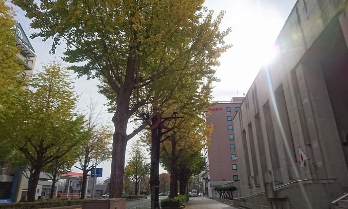 f:id:masami71:20201128161843j:plain