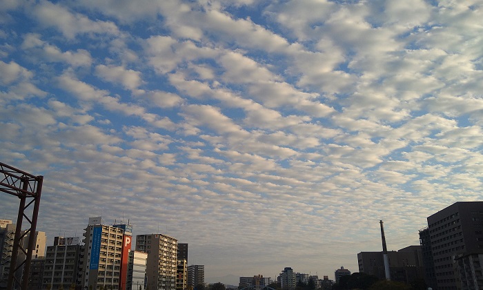 f:id:masami71:20201211141351j:plain