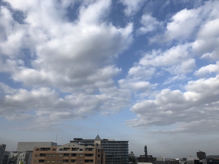 f:id:masami71:20210113163155j:plain