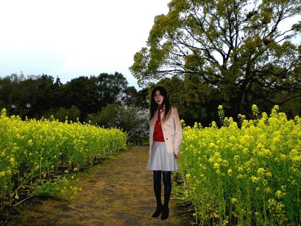 f:id:masami71:20210201135705j:plain
