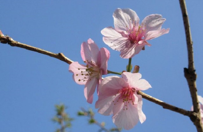 f:id:masami71:20210225142935j:plain