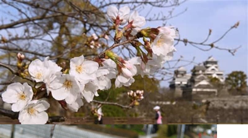 f:id:masami71:20210318140653j:plain