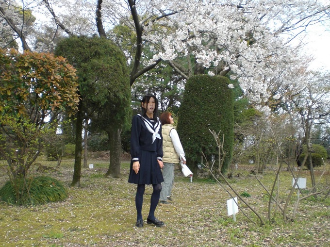 f:id:masami71:20210330143723j:plain