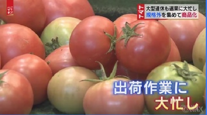 f:id:masami71:20210414114747j:plain