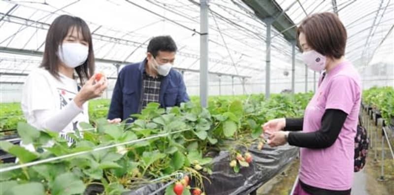 f:id:masami71:20210427130453j:plain