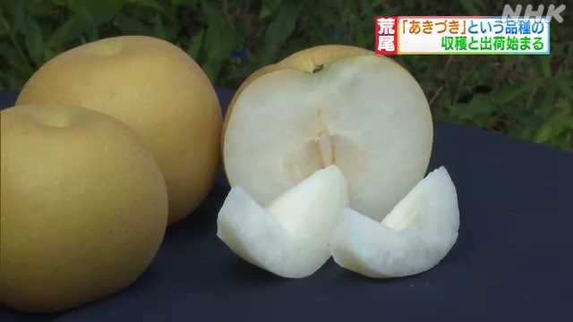 f:id:masami71:20210901184102j:plain