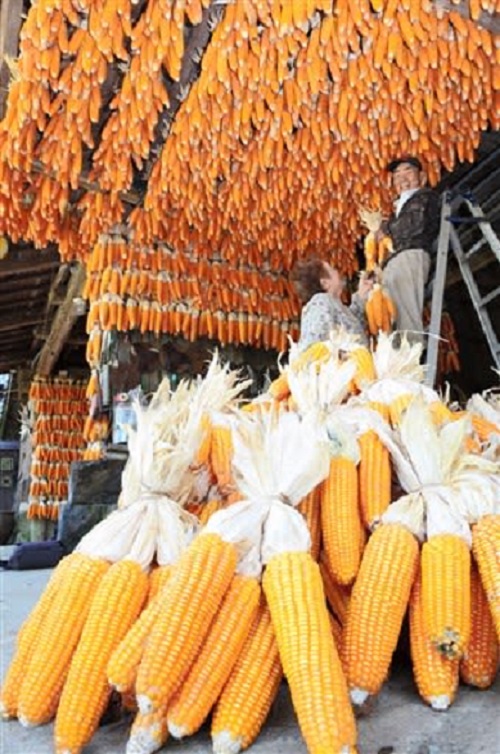 f:id:masami71:20211006202529j:plain