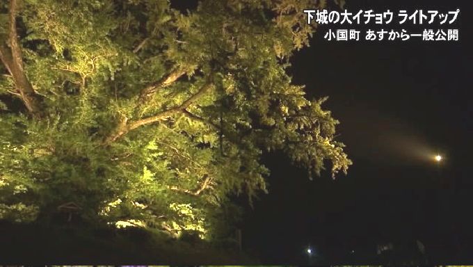 f:id:masami71:20211014213503j:plain