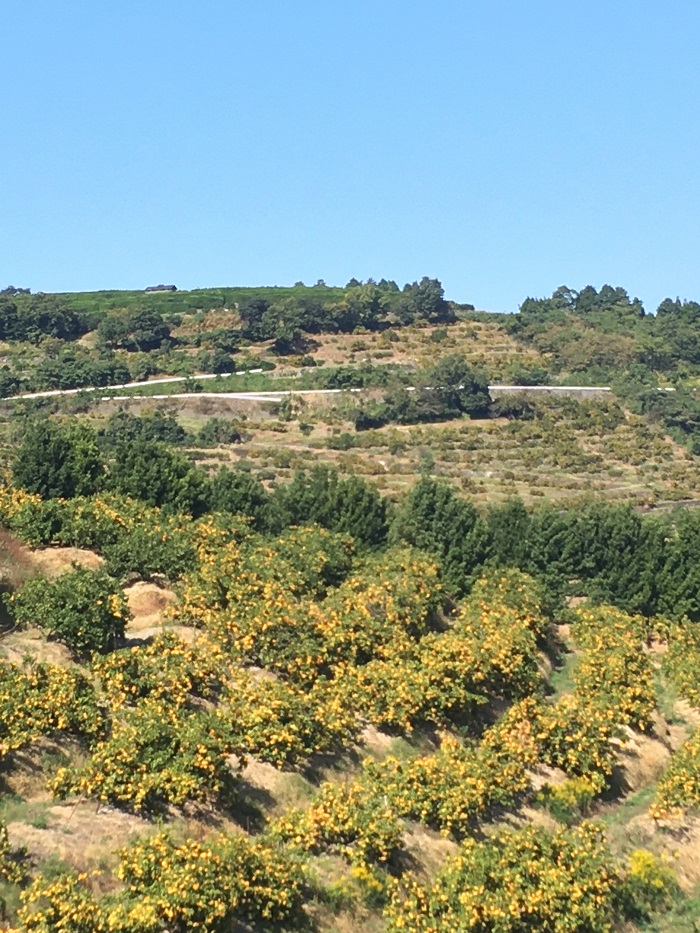 f:id:masami71:20211102203427j:plain