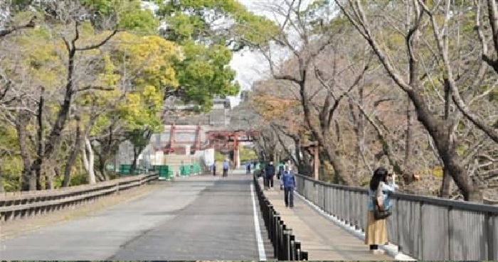 f:id:masami71:20211102203755j:plain