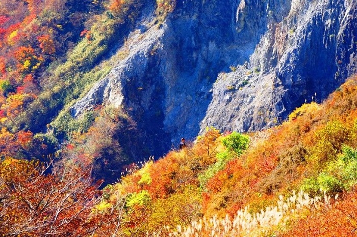 f:id:masami71:20211103202311j:plain