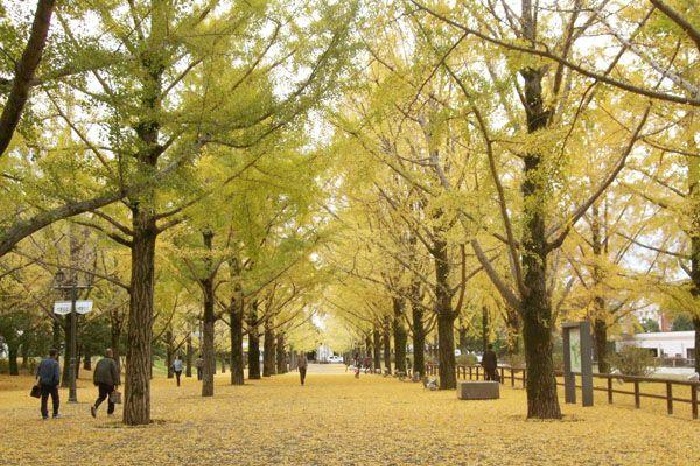 f:id:masami71:20211103203307j:plain